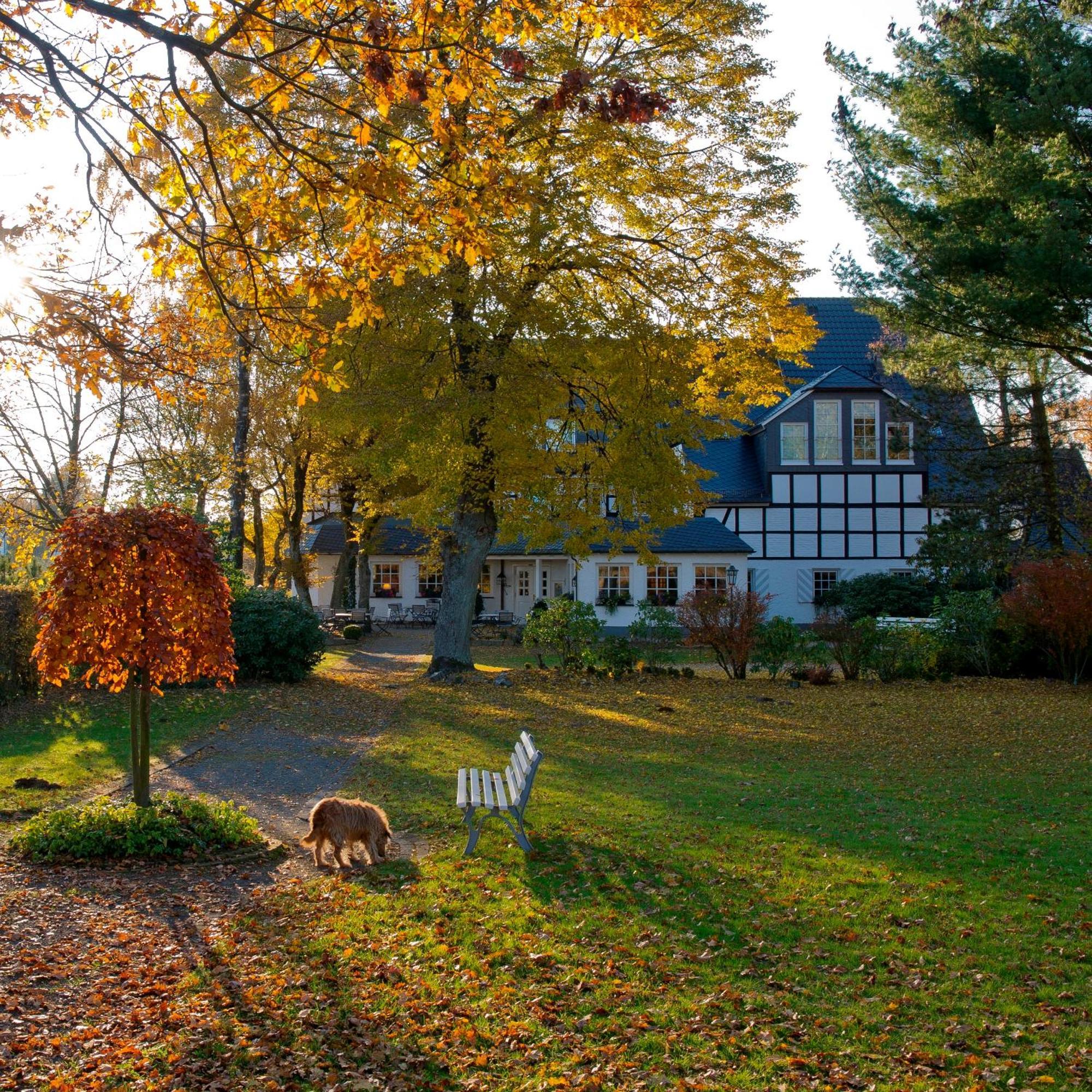 Hotel Waldhaus Foeckinghausen Bestwig Esterno foto