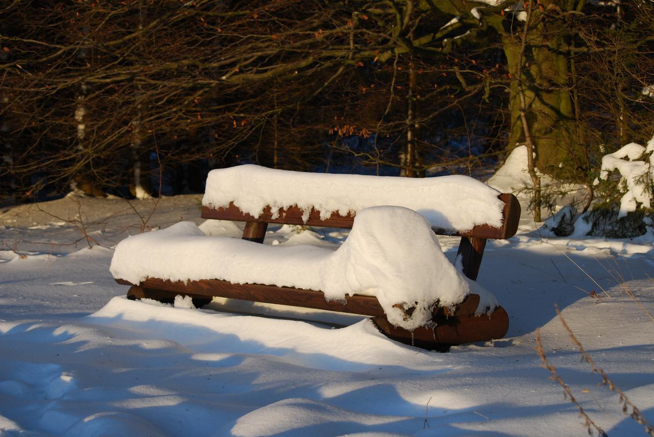 Hotel Waldhaus Foeckinghausen Bestwig Esterno foto